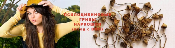 ПСИЛОЦИБИНОВЫЕ ГРИБЫ Россошь
