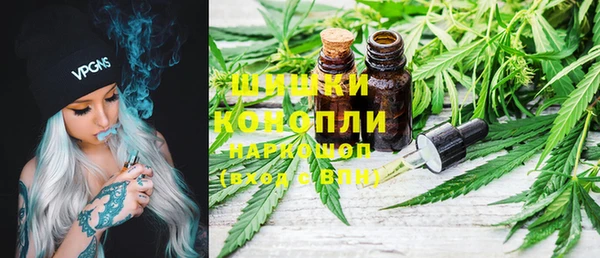 мдпв Александровское